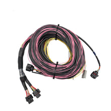 Load image into Gallery viewer, FuelTech FT700 C &amp; D Unterminated Harness — Image 5