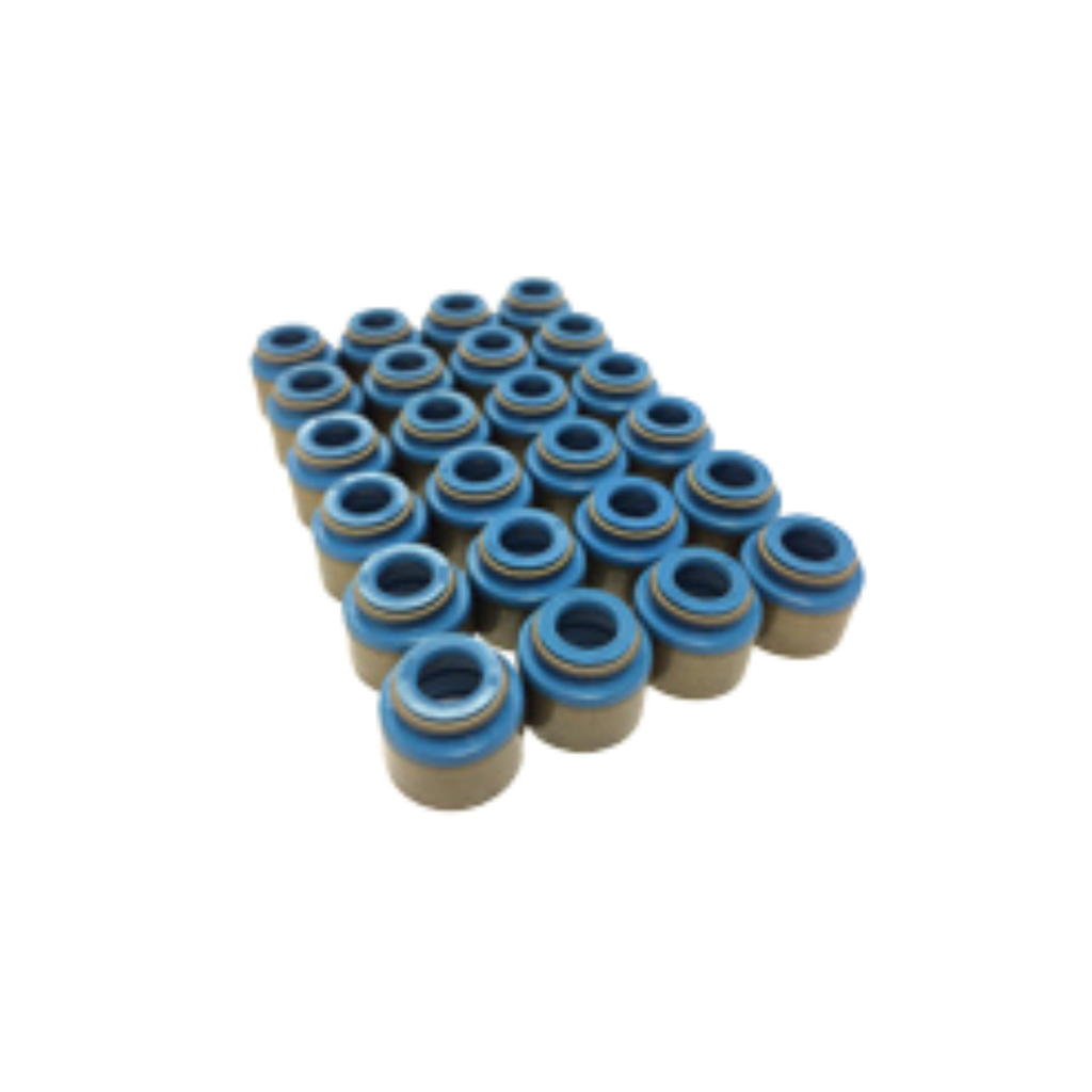GSC Power Division Valve stem seal set (quantity 32) - VK56