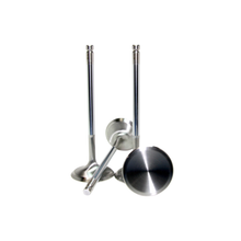 Load image into Gallery viewer, GSC Power Division Intake, 34mm head STD Head - 4G63T Evo1-9, DSM 90-98