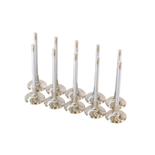 Load image into Gallery viewer, GSC Power Division Intake, 33.9mm head STD, 104.0MM Long (10) - Audi Daza