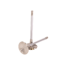 Load image into Gallery viewer, GSC Power Division Intake, 33.9mm head STD, 104.0MM Long (1) - Audi Daza