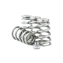 Load image into Gallery viewer, GSC Power Division TB48 HP Conical Spring Kit with Ti Retainer and steel spring seat - Nissan TB48DE