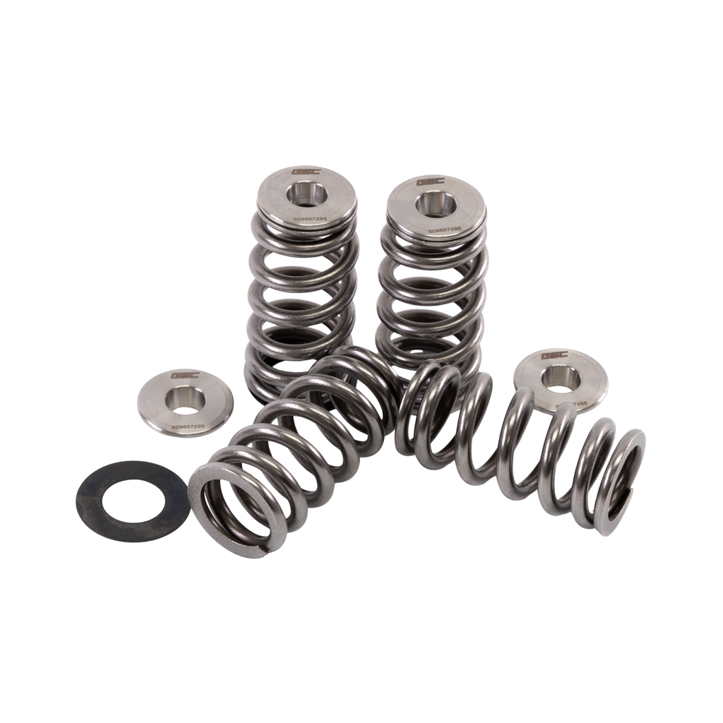 GSC Power Division Beehive Spring kit with Ti Retainer, Ex Seats - RS3 Daza