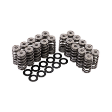 Load image into Gallery viewer, GSC Power Division Beehive Spring kit with Ti Retainer, Ex Seats - RS3 Daza