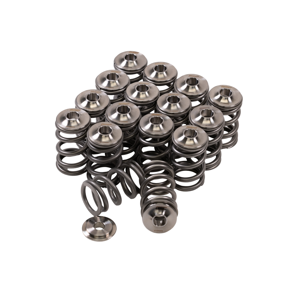 GSC Power Division Single Spring and Titanium Retainer - EJ series motors