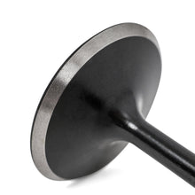 Load image into Gallery viewer, High Compression 36mm Intake Valves - Honda S2000 F20C/F22C - BLOWOUT - BLOX Racing