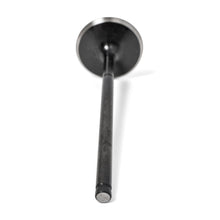 Load image into Gallery viewer, High Compression 36mm Intake Valves - Honda S2000 F20C/F22C - BLOWOUT - BLOX Racing