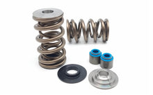 Load image into Gallery viewer, KVSLS1D-1 | PAC 1204X Valve Spring Set