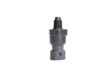 Load image into Gallery viewer, RIFE Liquid Temp Sensor 1/8" NPT GM Connector 52-1060 (Coolant, Water Oil, Trans Fluid, Fuel)-RIFE-Motion Raceworks
