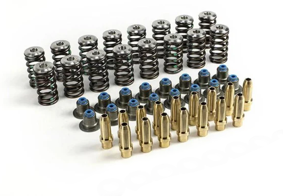 MAP Ecoboost Mustang Valvetrain Upgrade Kit | 2015-2019 Ford Mustang Ecoboost (MAP EBM-VTK)