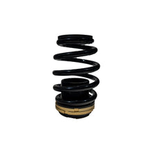 Load image into Gallery viewer, Plus Series Pro Coilovers - 12-13 Civic Si - BLOX Racing