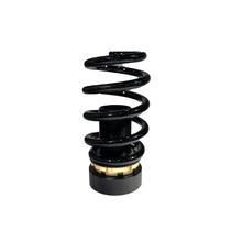Load image into Gallery viewer, Plus Series Pro Coilovers - 17+ Civic Hatchback 52mm - BLOX Racing