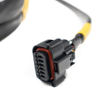 Load image into Gallery viewer, FuelTech FT600 2022+ Polaris RZR Pro R Adapter Harness PNP — Image 2