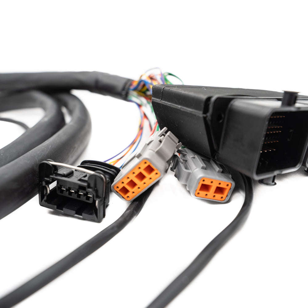 FuelTech FT600 2022+ Polaris RZR Pro R Adapter Harness PNP — Image 4