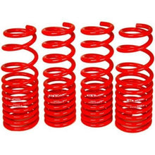 Load image into Gallery viewer, Tesla Lowering Springs - Model 3 Std and Long Range RWD - BLOX Racing