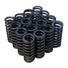 Load image into Gallery viewer, Valve Springs - D-Series SOHC VTEC - OVERSTOCK - BLOX Racing
