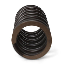 Load image into Gallery viewer, Valve Springs - F - Series DOHC VTEC - BLOX Racing