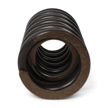 Load image into Gallery viewer, Valve Springs - F - Series DOHC VTEC - BLOX Racing