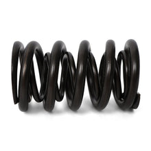 Load image into Gallery viewer, Valve Springs - F - Series DOHC VTEC - BLOX Racing