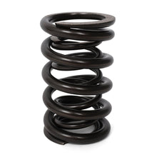 Load image into Gallery viewer, Valve Springs - F - Series DOHC VTEC - BLOX Racing