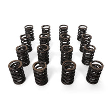 Load image into Gallery viewer, Valve Springs - F - Series DOHC VTEC - BLOX Racing
