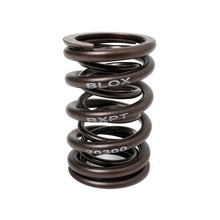 Load image into Gallery viewer, BLOX Racing Valve Springs H-Series DOHC VTEC H22A (2.2L DOHC VTEC) Valve Springs