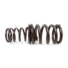 Load image into Gallery viewer, Valve Springs - H - Series DOHC VTEC - BLOX Racing