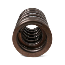 Load image into Gallery viewer, BLOX Racing Valve Springs H-Series DOHC VTEC H22A (2.2L DOHC VTEC) Valve Springs