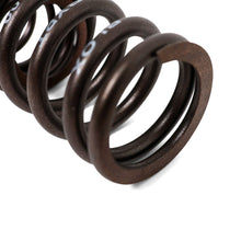 Load image into Gallery viewer, BLOX Racing Valve Springs H-Series DOHC VTEC H22A (2.2L DOHC VTEC) Valve Springs
