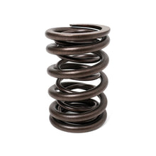 Load image into Gallery viewer, BLOX Racing Valve Springs H-Series DOHC VTEC H22A (2.2L DOHC VTEC) Valve Springs