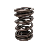 BLOX Racing Valve Springs H-Series DOHC VTEC H22A (2.2L DOHC VTEC) Valve Springs
