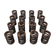 Load image into Gallery viewer, BLOX Racing Valve Springs H-Series DOHC VTEC H22A (2.2L DOHC VTEC) Valve Springs