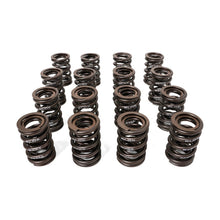 Load image into Gallery viewer, BLOX Racing Valve Springs H-Series DOHC VTEC H22A (2.2L DOHC VTEC) Valve Springs