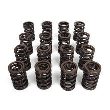 Load image into Gallery viewer, Valve Springs - K - Series DOHC iVTEC - BLOX Racing