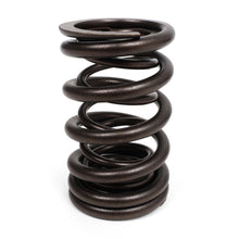 Load image into Gallery viewer, Valve Springs - K - Series DOHC iVTEC - BLOX Racing