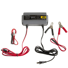 Load image into Gallery viewer, Autometer Battery Charger/Maintainer 12V/3A