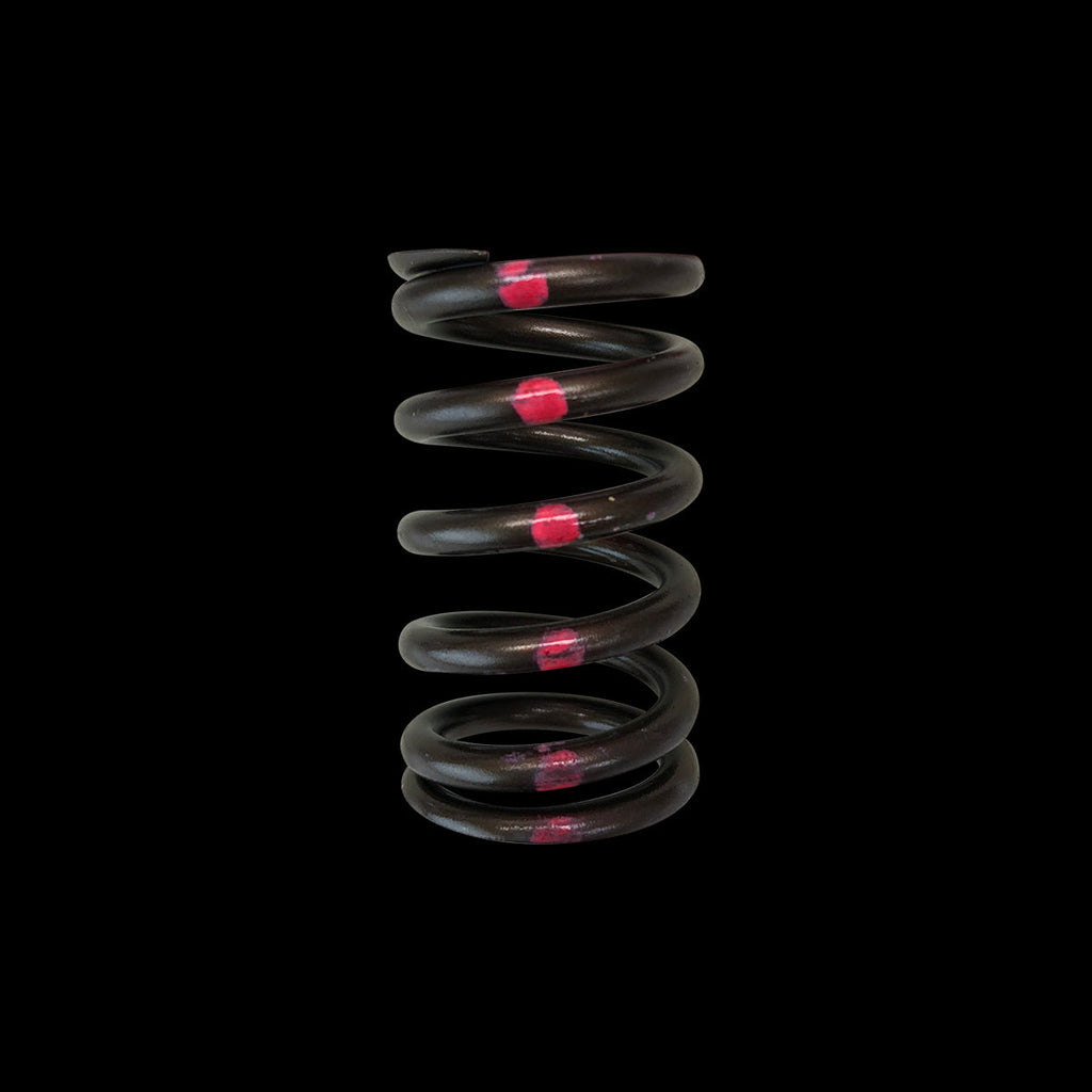 BC1200-1 - Valve Spring - Single (Nissan SR20DE-T) - 1 only