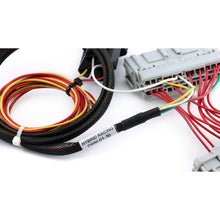 Load image into Gallery viewer, Hybrid Racing K-Series Swap Conversion Wiring Harness (01-05 Civic) HYB-CWH-01-30