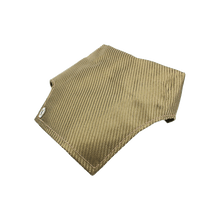 Load image into Gallery viewer, Trans Am Coolant Reservoir Shield - Lava