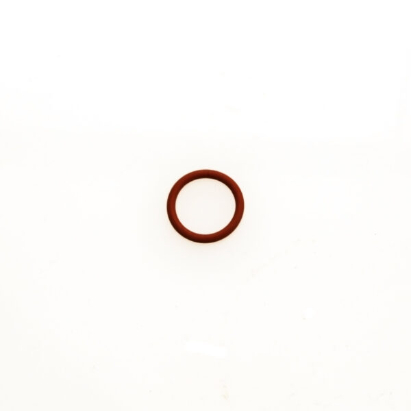 WG Valve Guide ‘O’ Ring