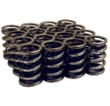 Blox Valve Springs
