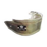 DSM (Eclipse, Talon, Laser)